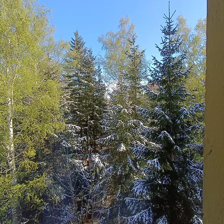 Alaska カルパッチ